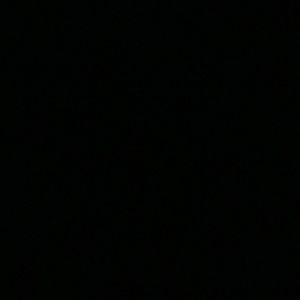 Meet your Posher, Jacqueline